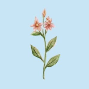 Meet your Posher, Lily